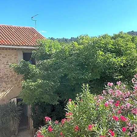 Monte Vinea